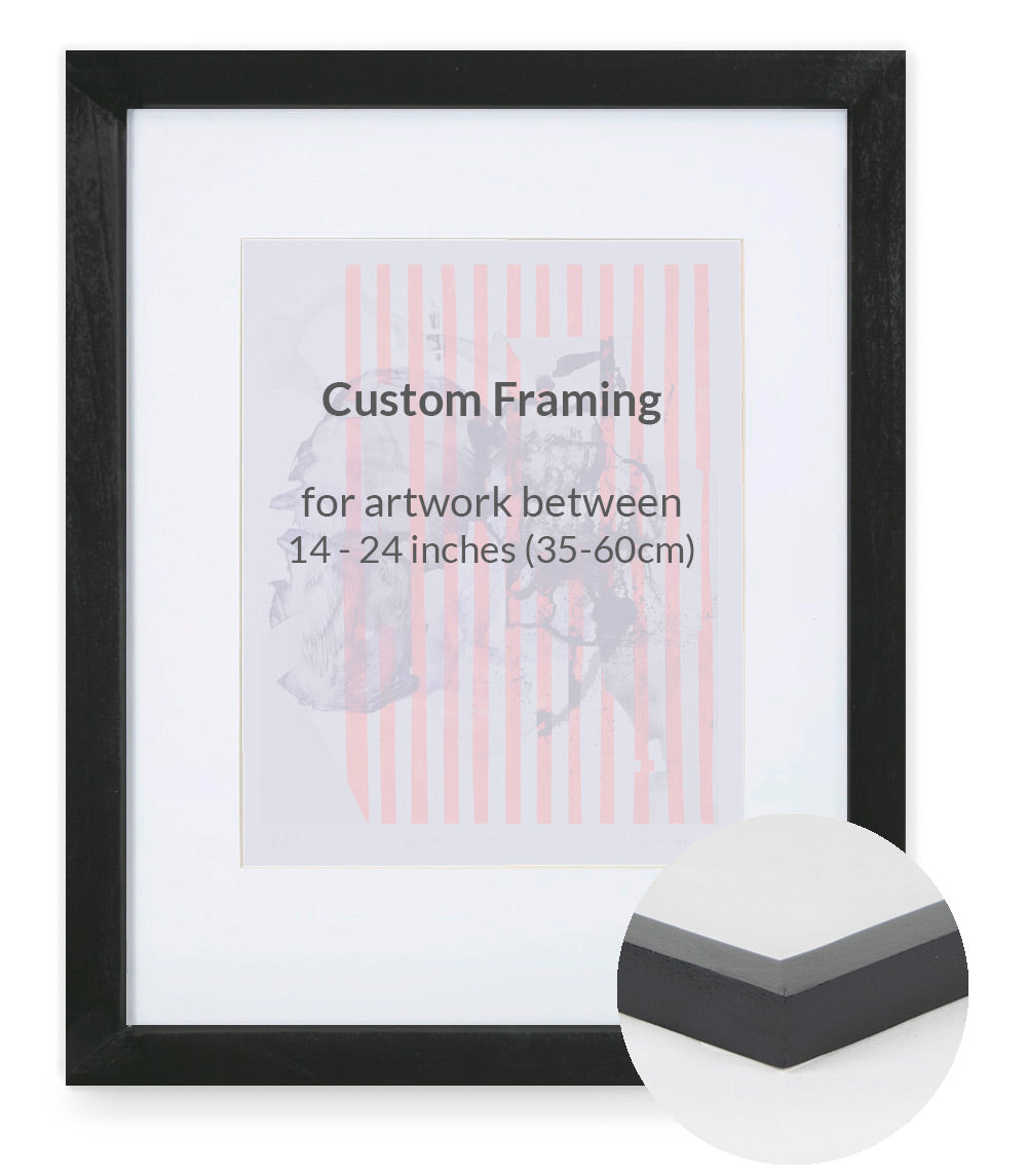 Custom Framing - Contemporary Bevel - Medium (14