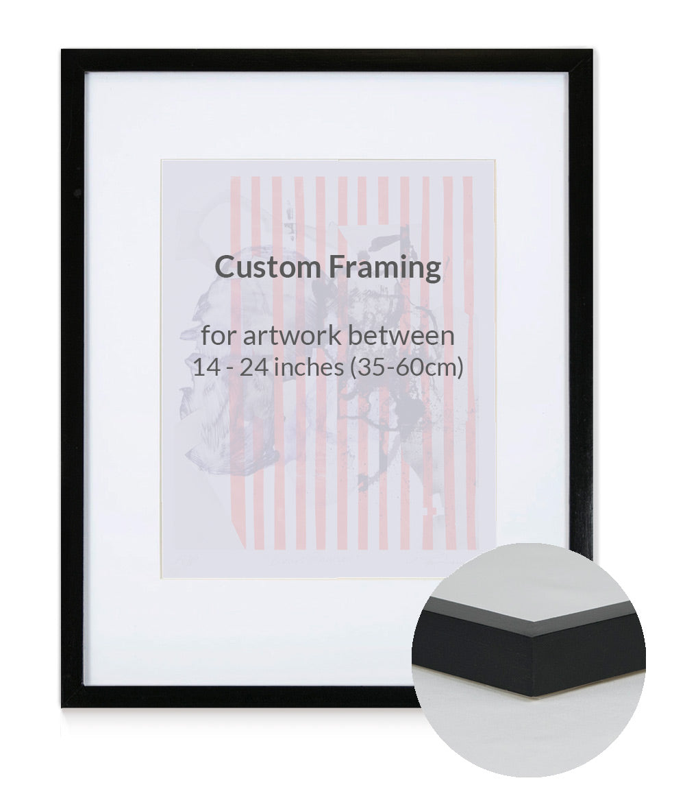 Custom Framing - Contemporary - Medium (14